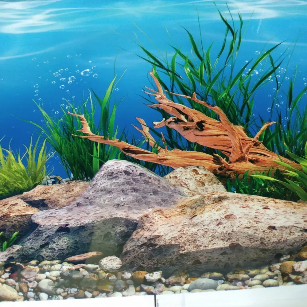 Fishtank backing pictures approximately 17 1/2